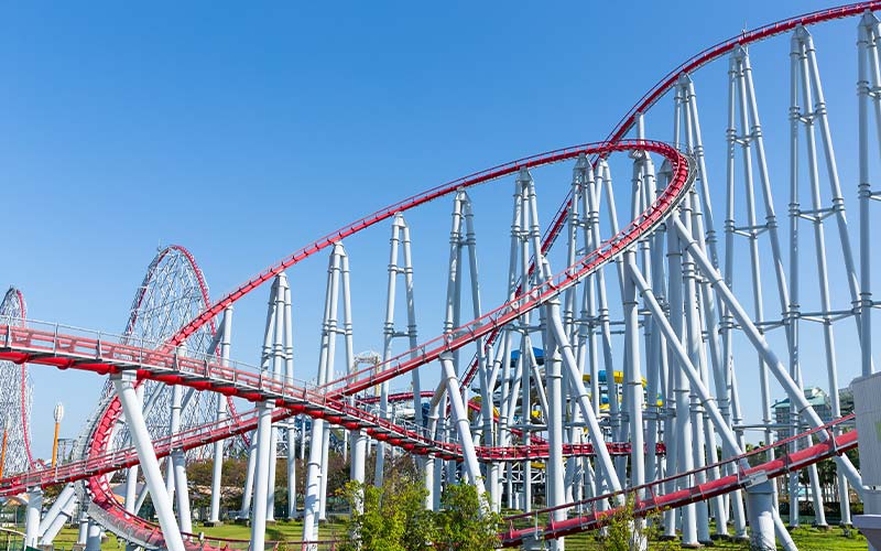 2020 Rollercoaster: From Epic Crisis to Unprecedented Growth